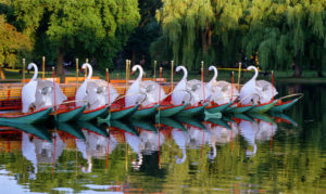 Boston Public Garden Tours